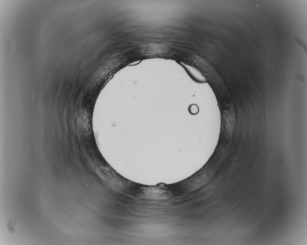 X0000102260380200808221421