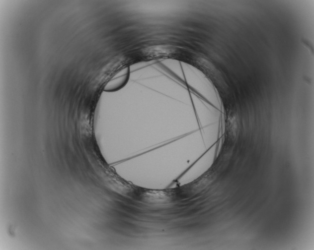 X0000102260381200808221421
