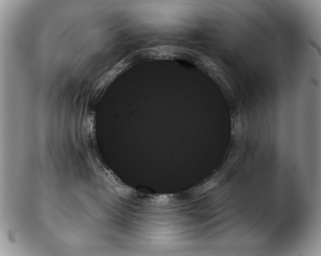 X0000102260382200808221421