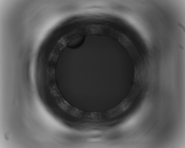 X0000102260383200808221421