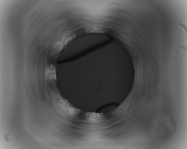 X0000102260384200808221421