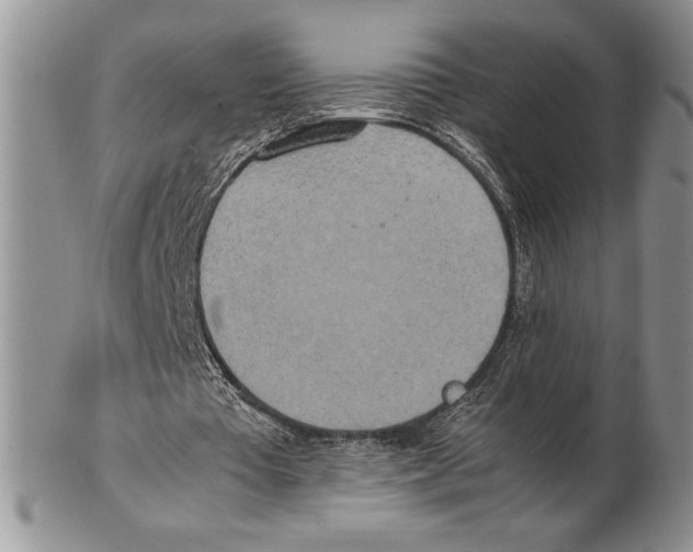 X0000102260385200808221420