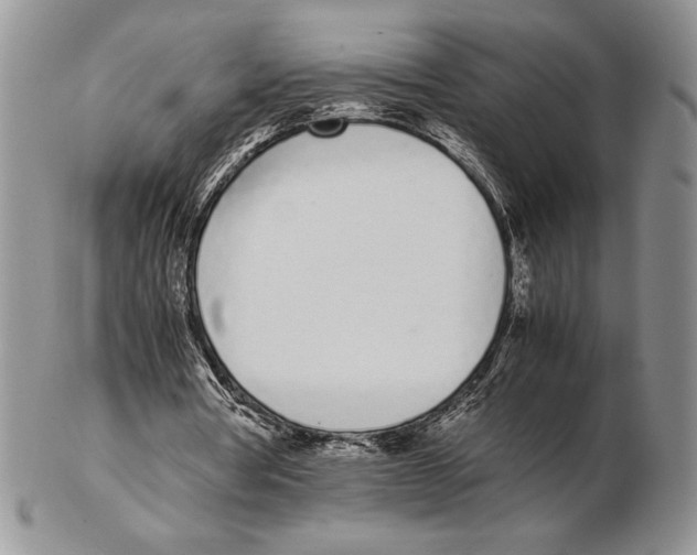 X0000102260386200808221420