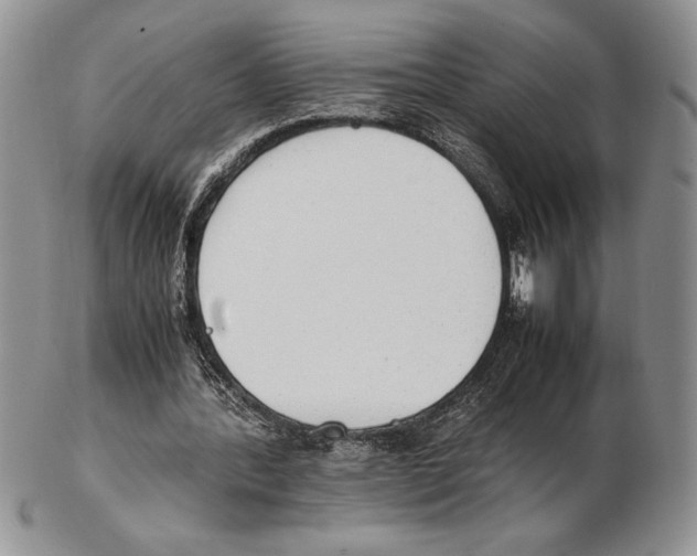 X0000102260388200808221420