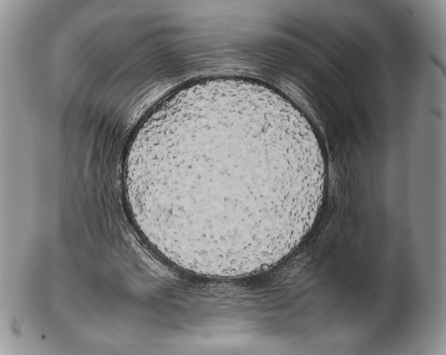 X0000102260389200808221420