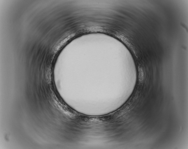 X0000102260390200808221420