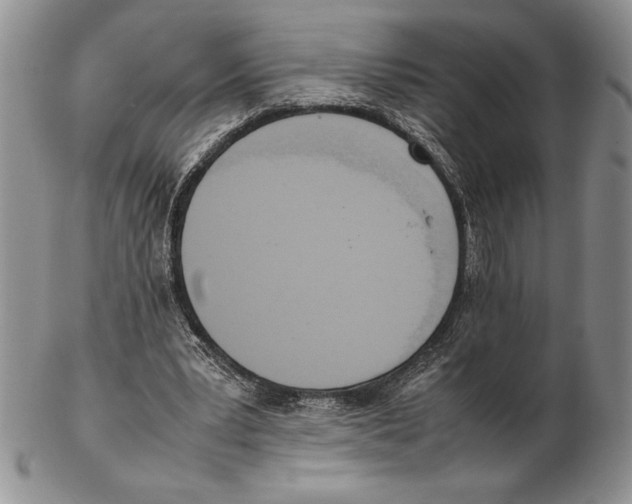 X0000102260391200808221420
