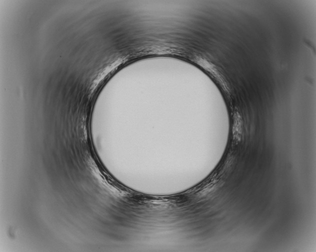 X0000102260394200808221420