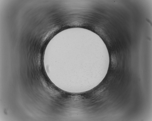 X0000102260396200808221420
