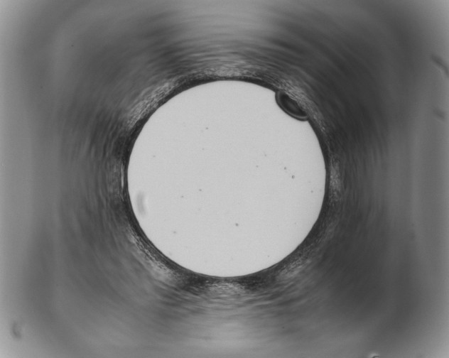 X0000102260397200808221420
