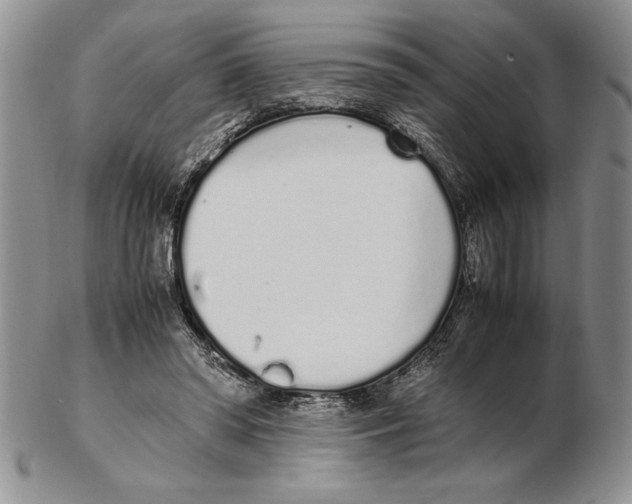 X0000102260398200808221420