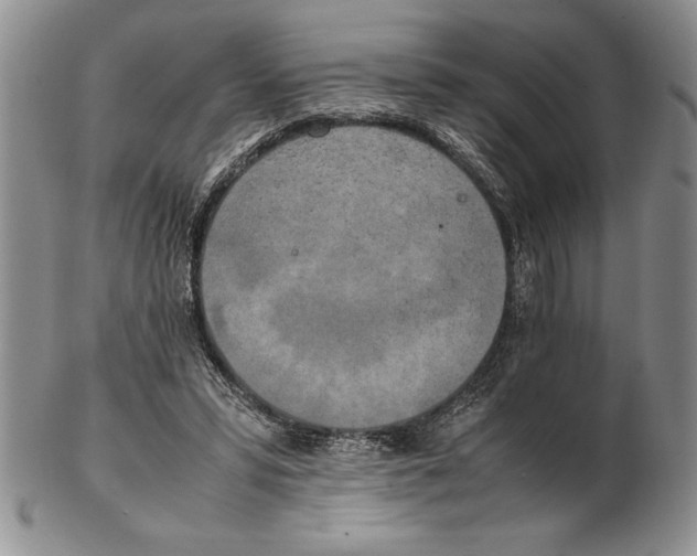 X0000102260399200808221420