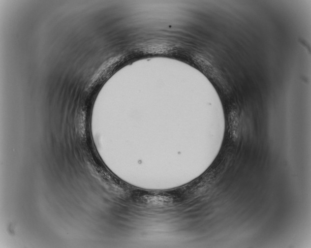 X0000102260400200808221420