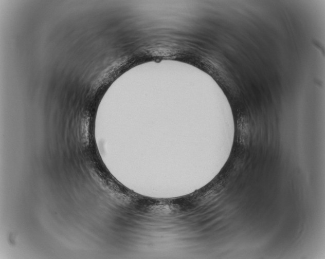 X0000102260404200808221419