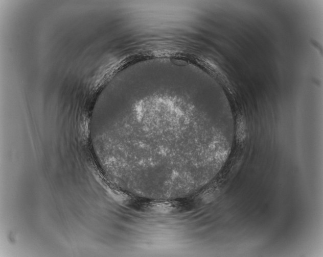 X0000102260405200808221419