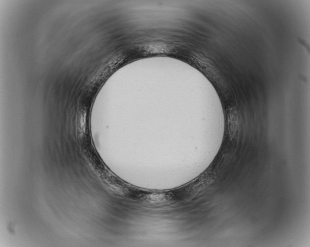 X0000102260406200808221419