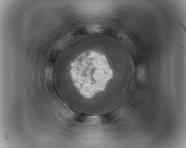 X0000102260409200808221419