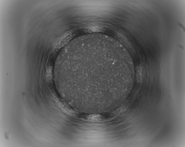 X0000102260410200808221419