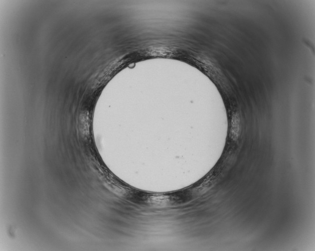 X0000102260413200808221419