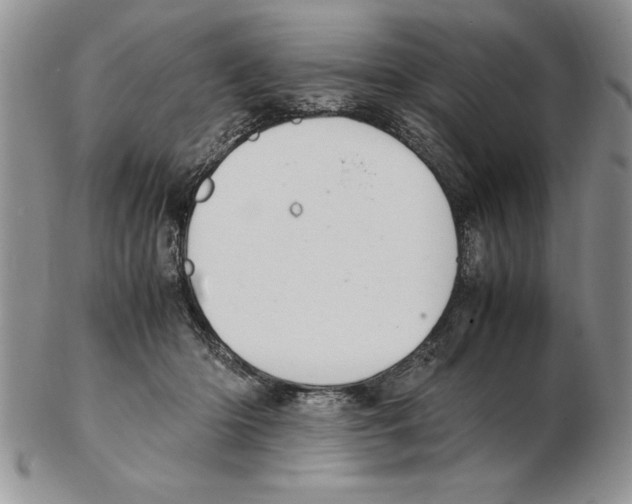 X0000102260414200808221419