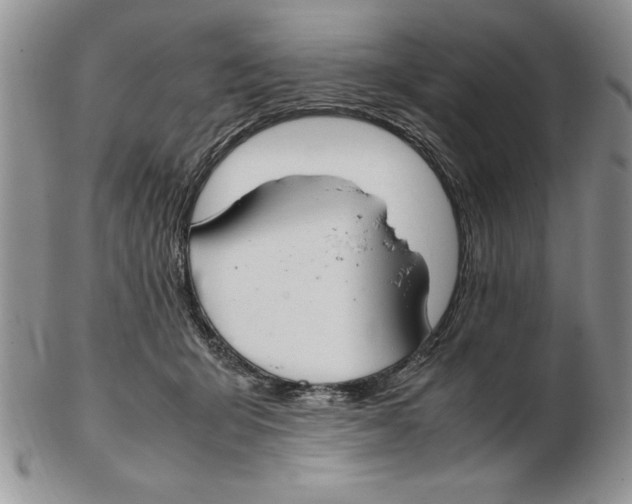 X0000102260415200808221419