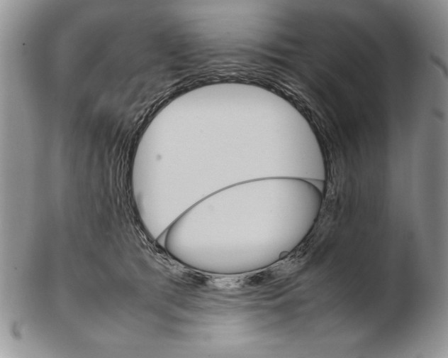 X0000102260417200808221419