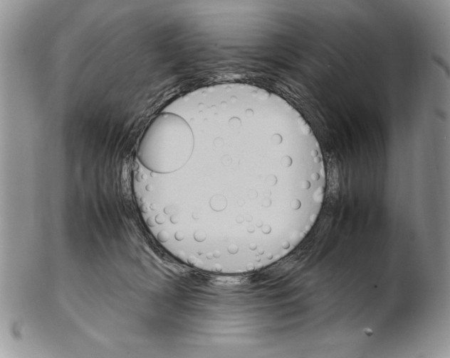 X0000102260418200808221419