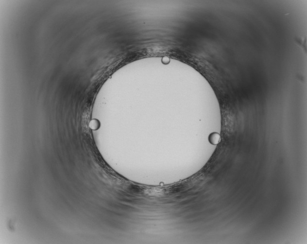 X0000102260419200808221419