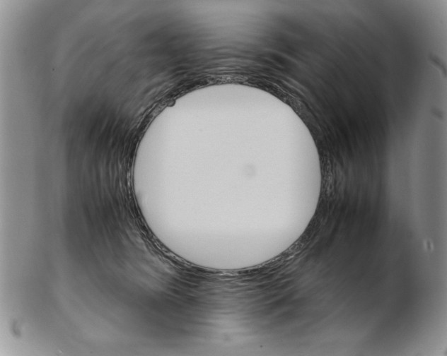X0000102260420200808221419