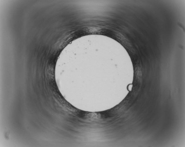 X0000102260421200808221419