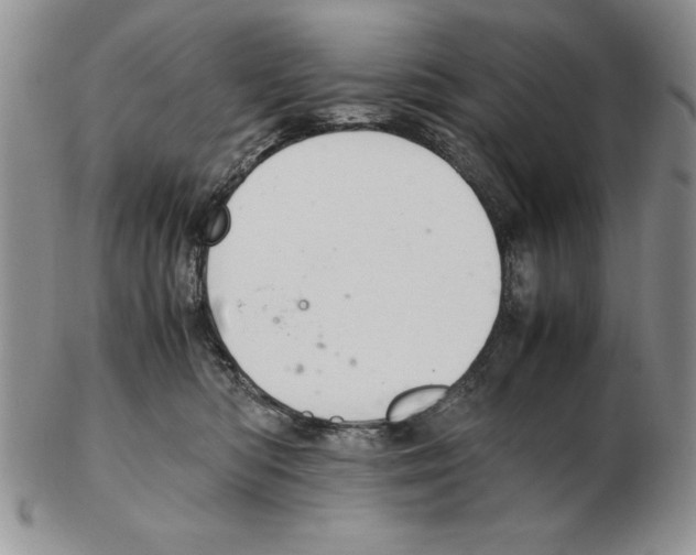 X0000102260422200808221419
