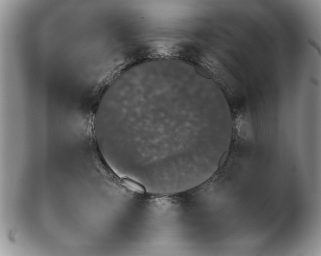 X0000102260423200808221419