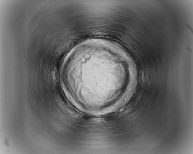X0000102260424200808221419