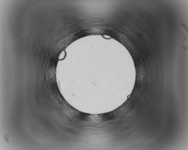 X0000102260425200808221419