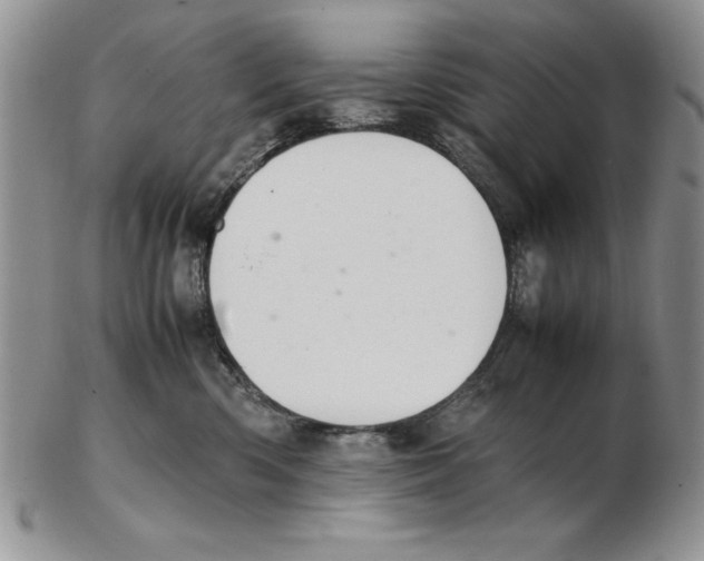 X0000102260426200808221419