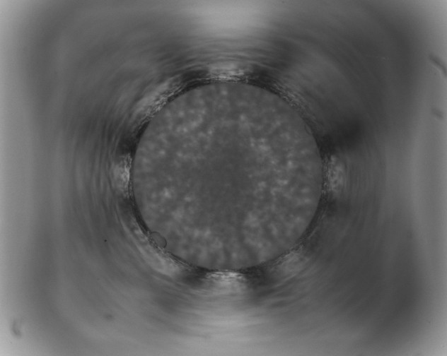 X0000102260427200808221419
