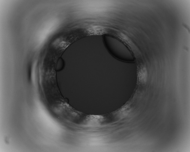 X0000102260429200808221419