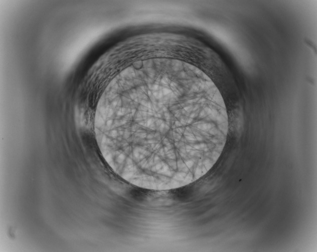 X0000102260431200808221419