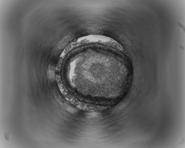 X0000102260432200808221419