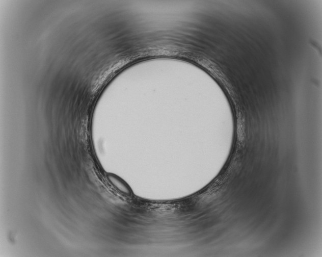 X0000102260434200808221418
