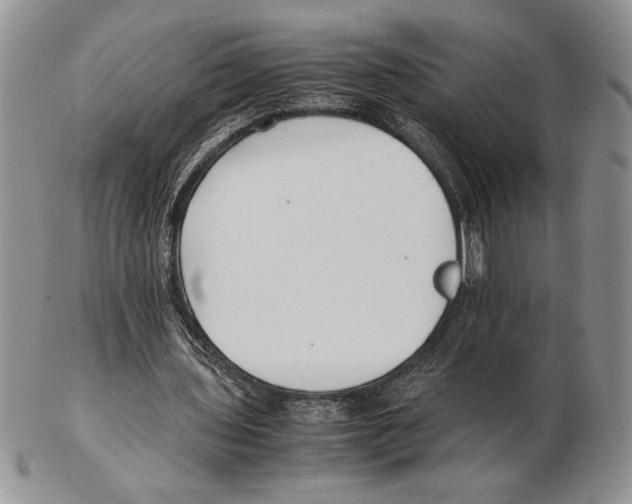 X0000102260435200808221418