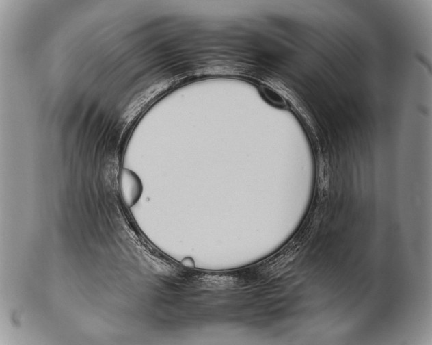X0000102260437200808221418