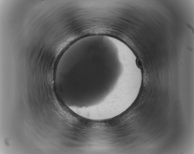 X0000102260438200808221419