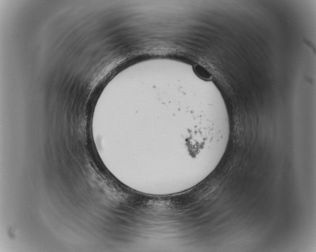 X0000102260440200808221419