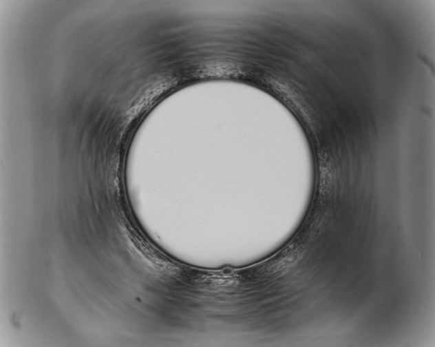 X0000102260443200808221419