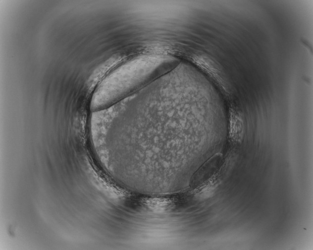 X0000102260444200808221419