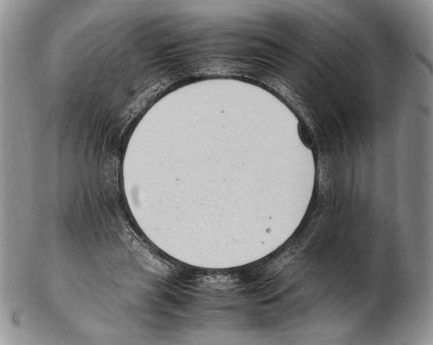 X0000102260445200808221419