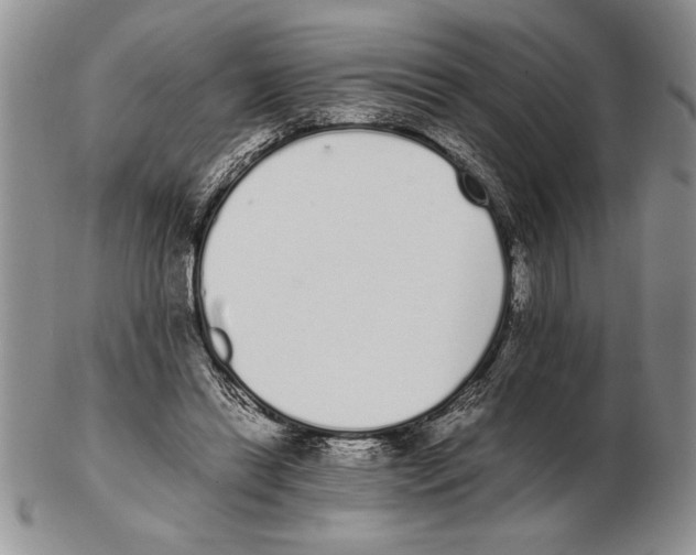 X0000102260446200808221419