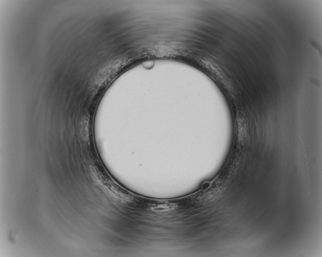 X0000102260447200808221419