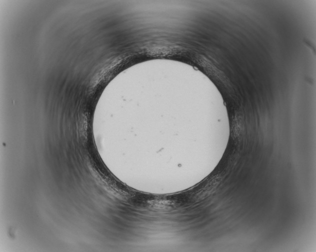 X0000102260448200808221419